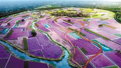 锦城绿道今日开建 描绘蜀川画卷带来产业新机