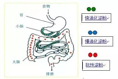 糖尿病人选择主食-参考指标--人民健康网