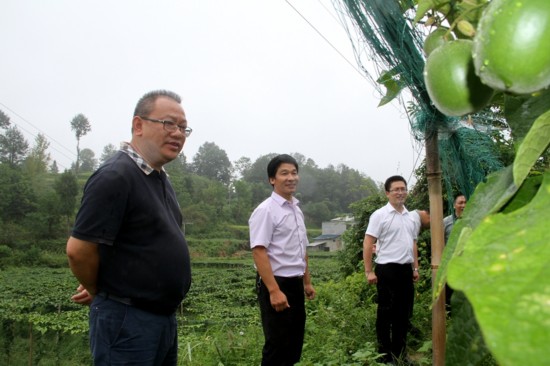 刘云成在鹦鹉溪镇调研深度贫困村脱贫攻坚工作
