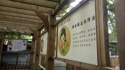 四川人均期望寿命81