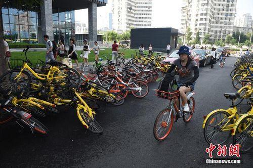 8月3日，北京街頭的共享單車。<a target='_blank'  data-cke-saved-href='http://www.chinanews.com/' href='http://www.chinanews.com/' _fcksavedurl='http://www.chinanews.com/'></table><p  align=