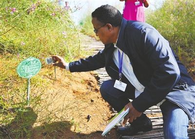 描绘在沙漠的风景