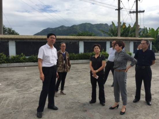 毕节市人民政府副市长冉霞到纳雍县骔岭镇调研