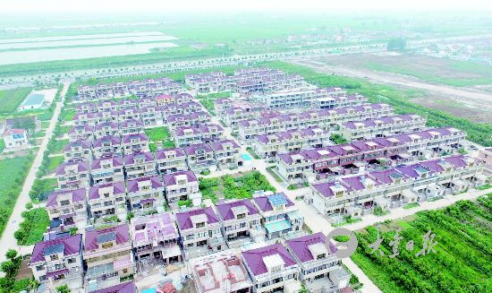 航拍大丰新团村:环境优美 农民别墅鳞次栉比