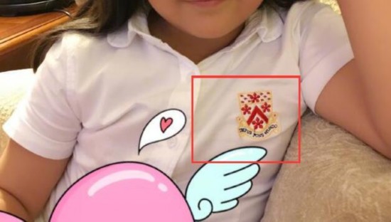 13553471217661695224.jpg