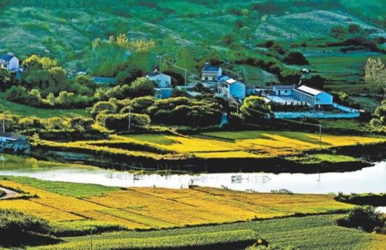 【砥砺奋进的五年·滁州篇】协调推进促共享