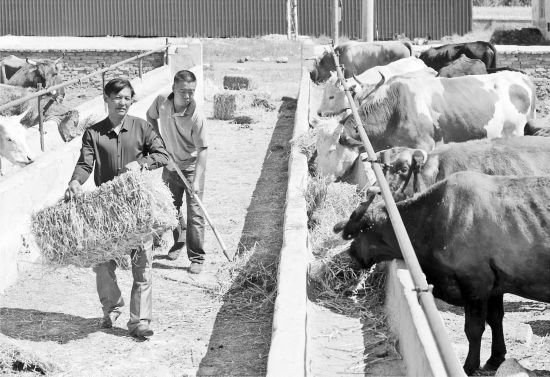 【民族团结一家亲】九哥和他的牧民兄弟