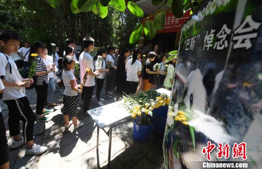 海內外人士悼念“全球最長壽圈養大熊貓”巴斯離世