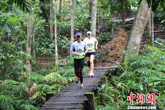 马拉松西双版纳植物园开跑 在奔跑中遇见珍稀