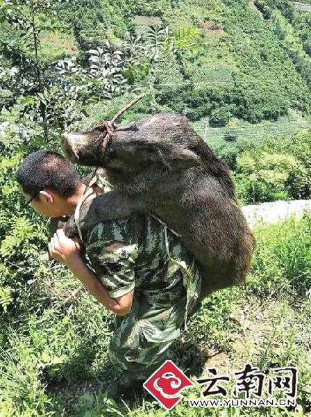 鲁甸县经济总量_鲁甸县第一中学图片
