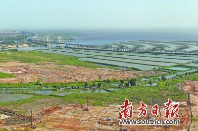 东莞滨海湾新区“粤港澳文化街”项目获海域使用权