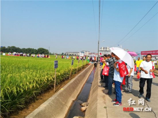 湖南浏阳车祸_湖南浏阳人口总量