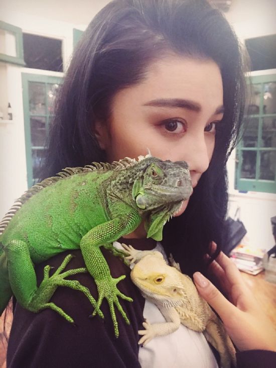 外媒眼中的漂亮的中国女星 范冰冰刘诗诗不如