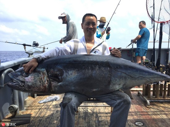長1.73米重180斤！ 海釣愛好者南海釣到創紀錄超大金槍魚！  