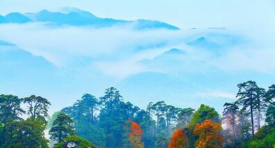 【浙江钱江源国家公园体制试点】