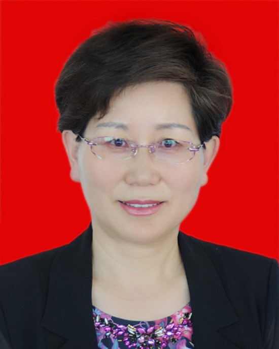 宁夏回族自治区党委干部2017年第9号任前公示