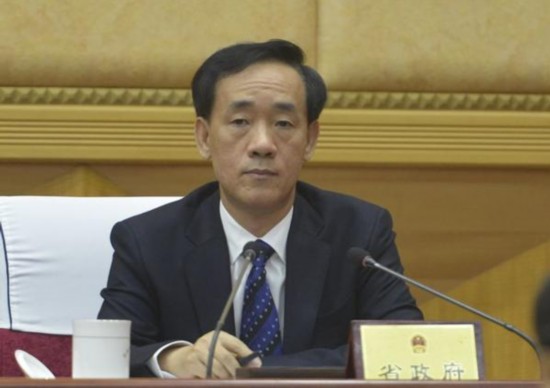 河南省人大常委会专题询问就业促进工作