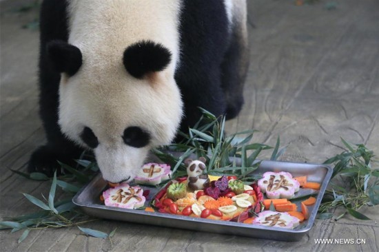 #CHINA-MID-AUTUMN FESTIVAL-CELEBRATION-GIANT PANDA (CN)