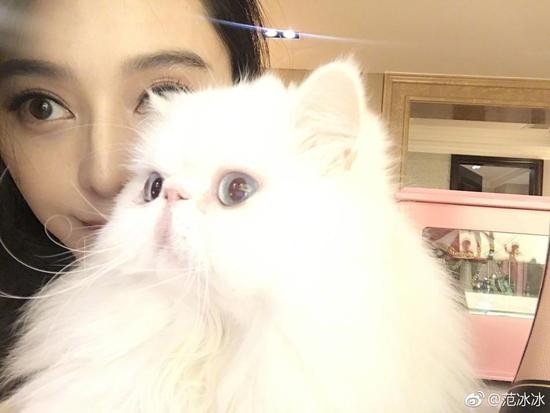 范冰冰与爱宠猫咪甜蜜合影 粉丝:竟然羡慕一只