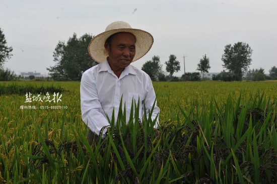 盐城建湖老农谢党恩 稻田里长出庆十九大