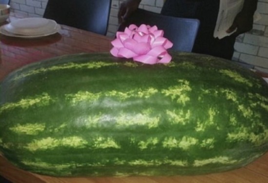 美国一实习消防队员选错见面礼丢掉工作 惹祸