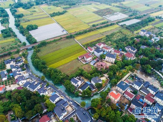 龙山镇的人口_土龙山镇中心小学(2)