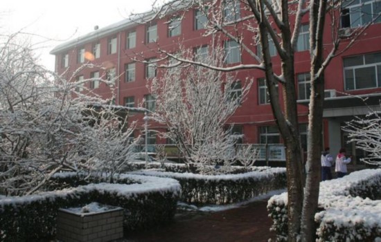 身边的好学校之北京市第十中学:花园式学校