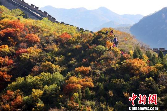 北京推11处赏红景区 北部山区红叶进最佳观赏