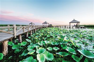 土左旗:抢抓机遇真抓实干 凝心聚力加快发展--