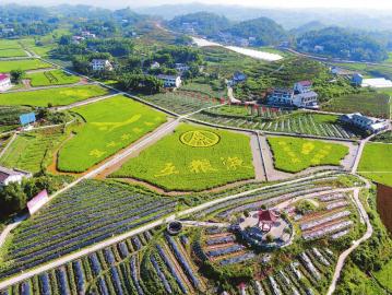 宜宾翠屏区gdp_宜宾翠屏区邱场镇(2)