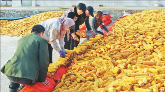 十九大時光：“鄉村振興戰略讓鄉親們非常振奮”