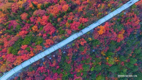 CHINA-AUTUMN-SCENERY(CN)