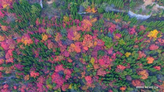 CHINA-AUTUMN-SCENERY(CN)