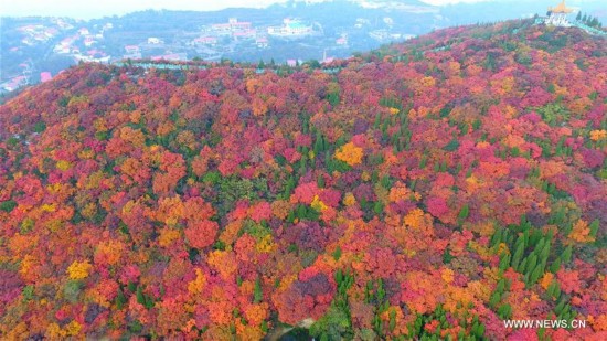 CHINA-AUTUMN-SCENERY(CN)