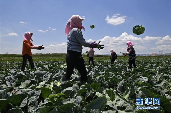 提高就业质量和人民收入水平--十九大专题报道