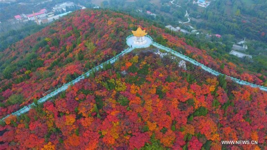 CHINA-AUTUMN-SCENERY(CN)