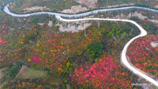 CHINA-AUTUMN-SCENERY(CN)