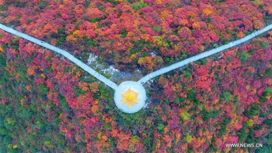 CHINA-AUTUMN-SCENERY(CN)