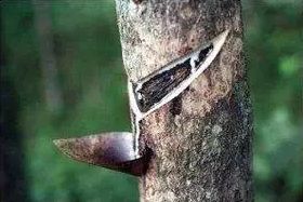 QQ截图20171013174458