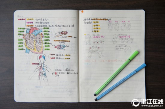 科学笔记配插画 手绘作业获点赞