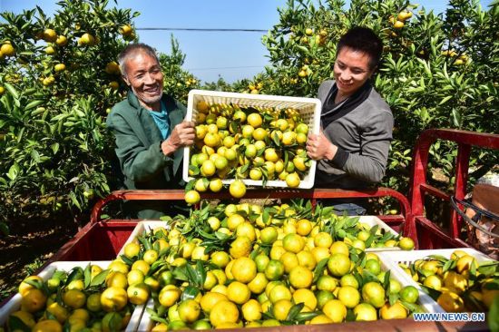 #CHINA-AUTUMN-HARVEST (CN)