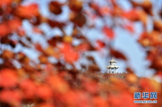 #�������й�����2���ӱ�ɳ�ӣ���ҶȾ̫�� �ﾰ���续