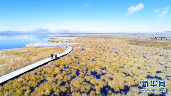 �������й�����3��������֮��