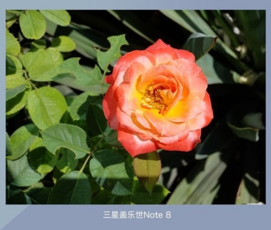 用三星Nate 8的用戶根本不考慮iPhone 8（審核不發） 
