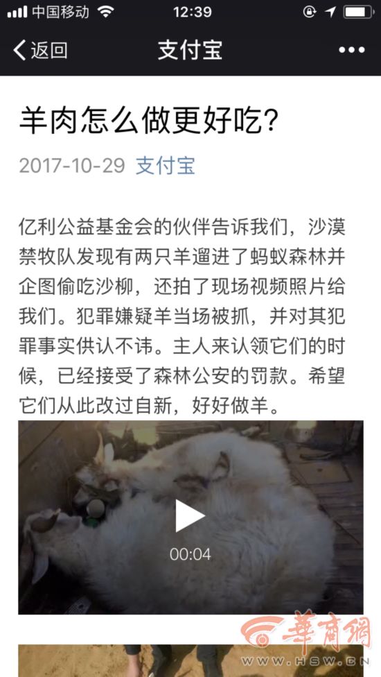 支付宝抓到两只羊 你在蚂蚁森林种的树还好吗