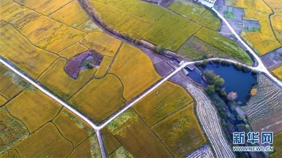 锦绣田园风光美