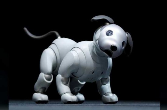 索尼升级爱宝机器狗 欲重振宠物人工智能项目