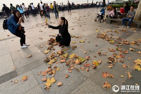 杭州:秋风乍起 落叶飘零