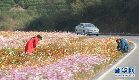 浙江安吉:美丽乡村建设惠及38万人
