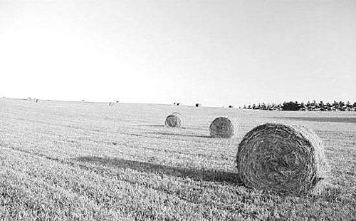 农村土地承包法开启修改模式:拟期满后再延长